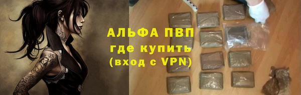 хмурый Абаза