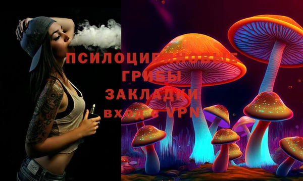 хмурый Абаза