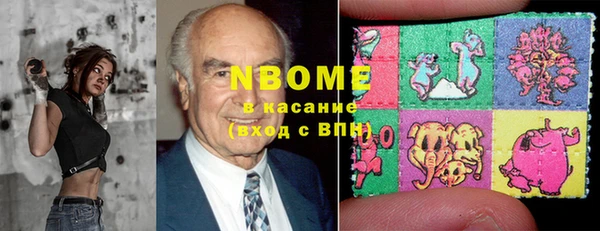 хмурый Абаза