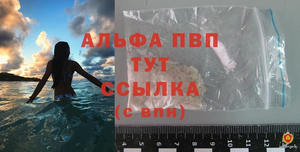 хмурый Абаза