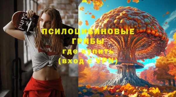 стафф Медвежьегорск