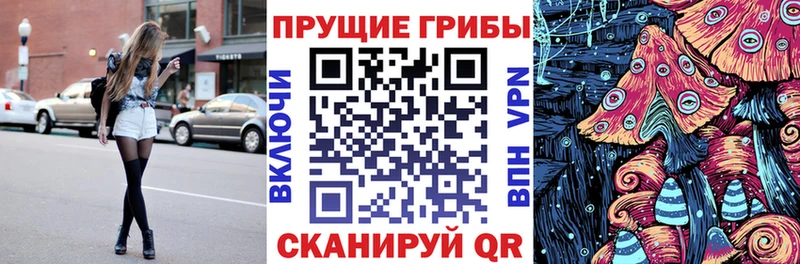 где купить наркотик  Тетюши  Галлюциногенные грибы Cubensis 